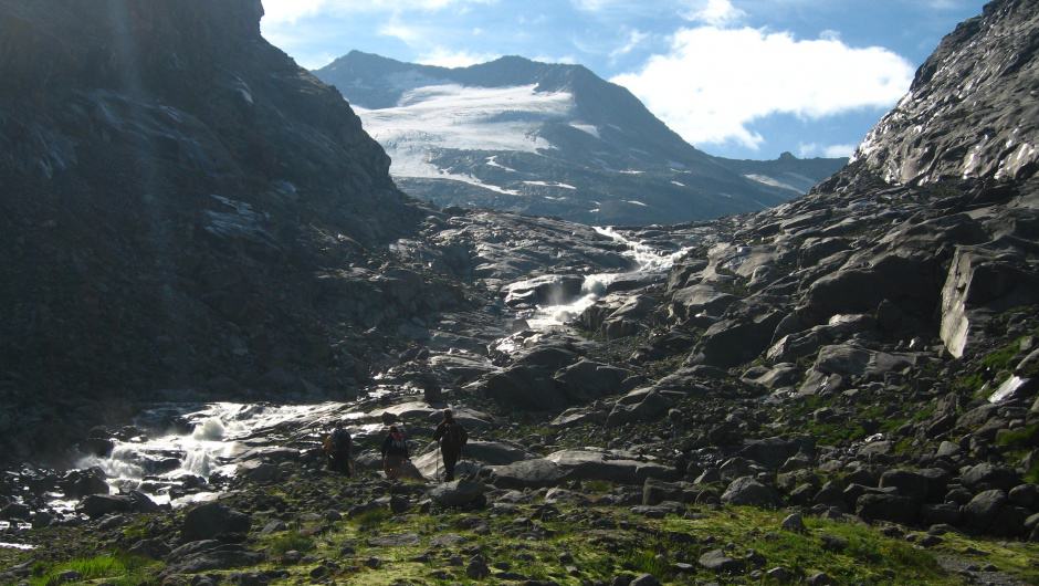 Alpine Wildnis (c) M. Zika / WWF Österreich