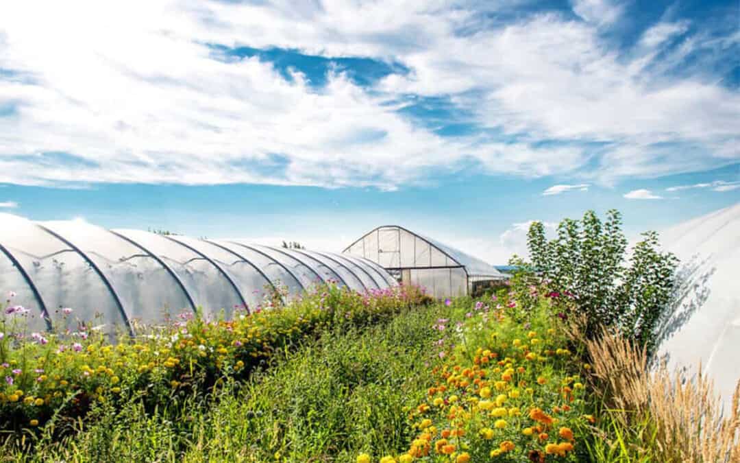 innovate4nature – Biodiversität