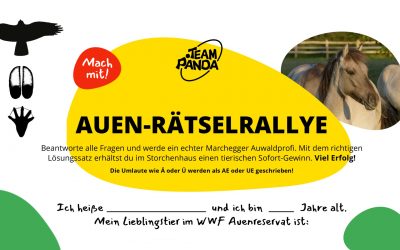 Spannende Auen-Rätselrallye