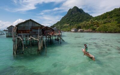 Weltfischereitag: Österreich importiert 95 Prozent seines Fischs