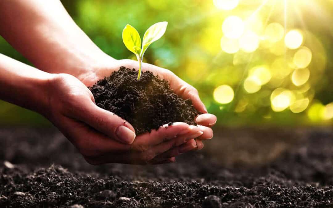 Klimaschutz und Naturschutz