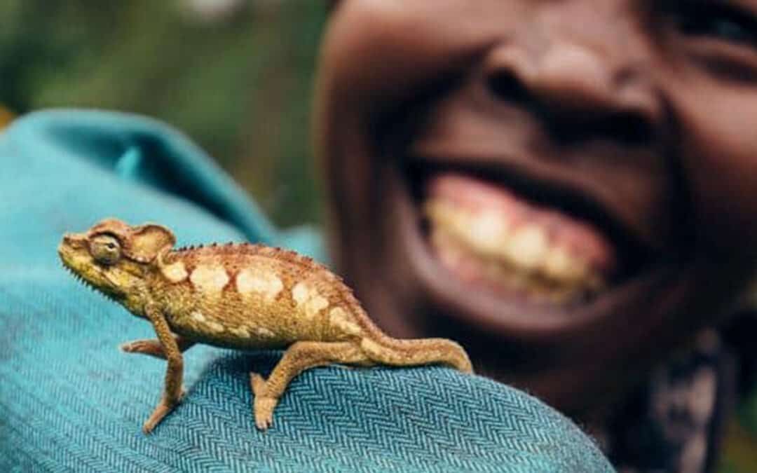 Living Planet Report 2020