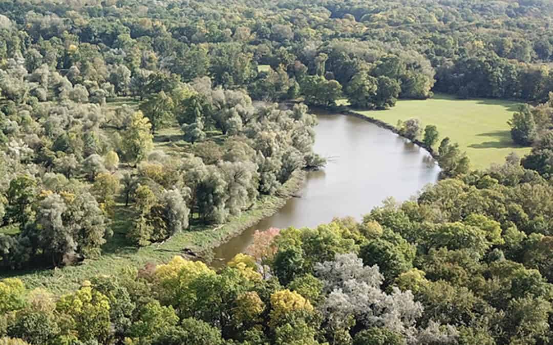 Das WWF-Auenreservat Marchegg