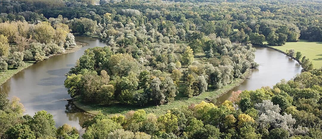 Kampagnen-Auftakt: Aufschrei für Auenparadies March-Thaya
