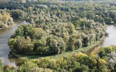 Kampagnen-Auftakt: Aufschrei für Auenparadies March-Thaya