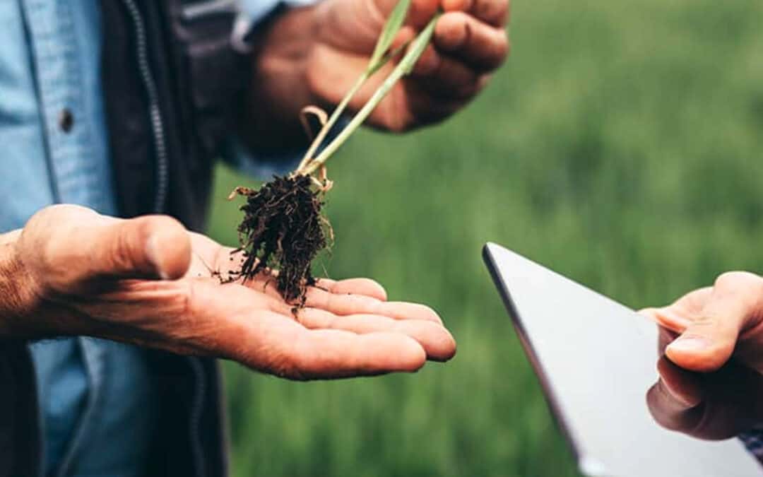 Nachhaltige Ernährung