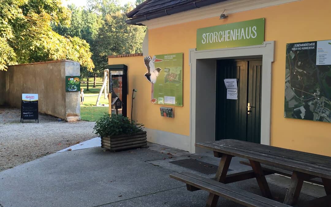 Storchenhaus-Projekte
