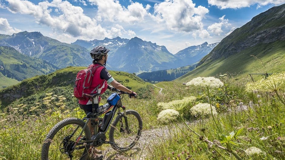 Umweltbewusst aus der Pandemie: WWF-Tipps zum Weltumwelttag