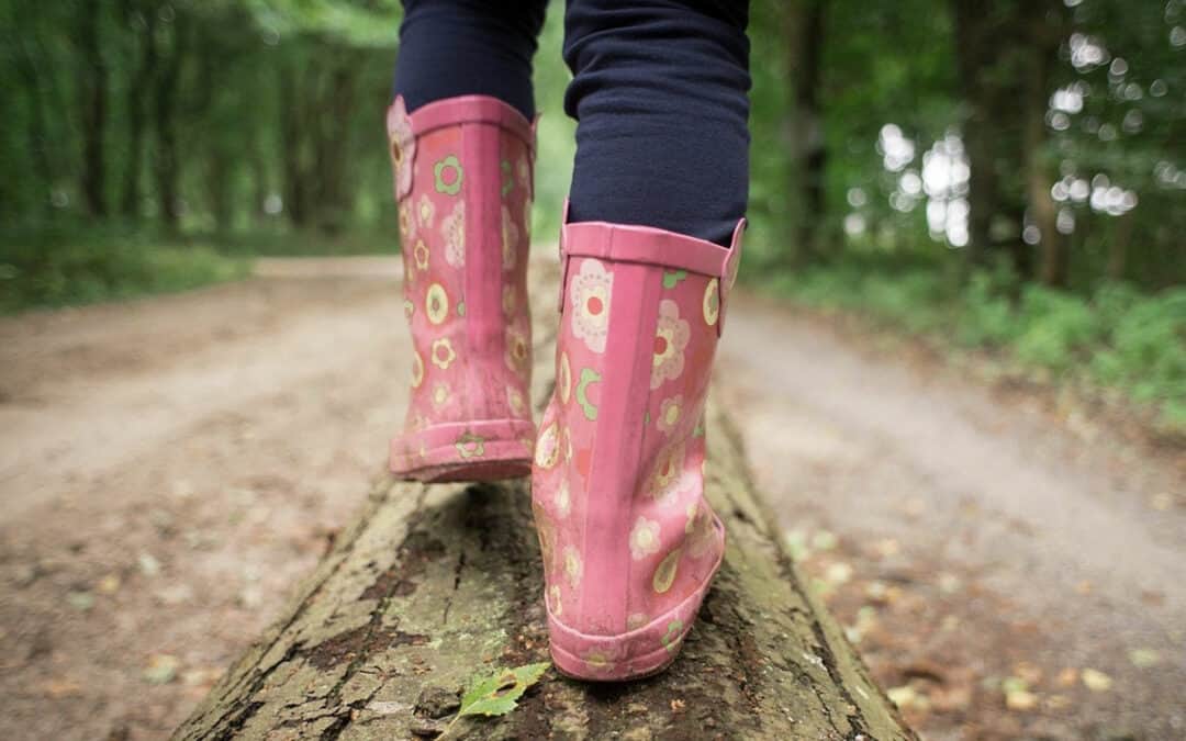 Unterrichtsmaterialien: Was der Wald alles kann