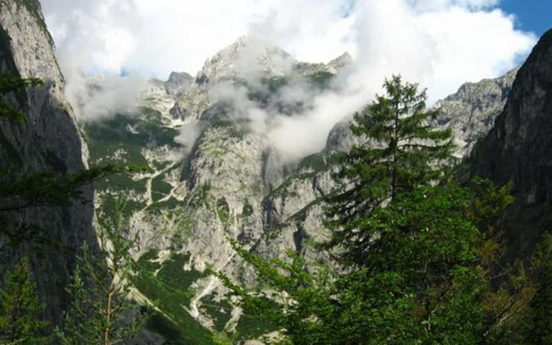 Geschützt: Wildnis für die Natur und für die Menschen
