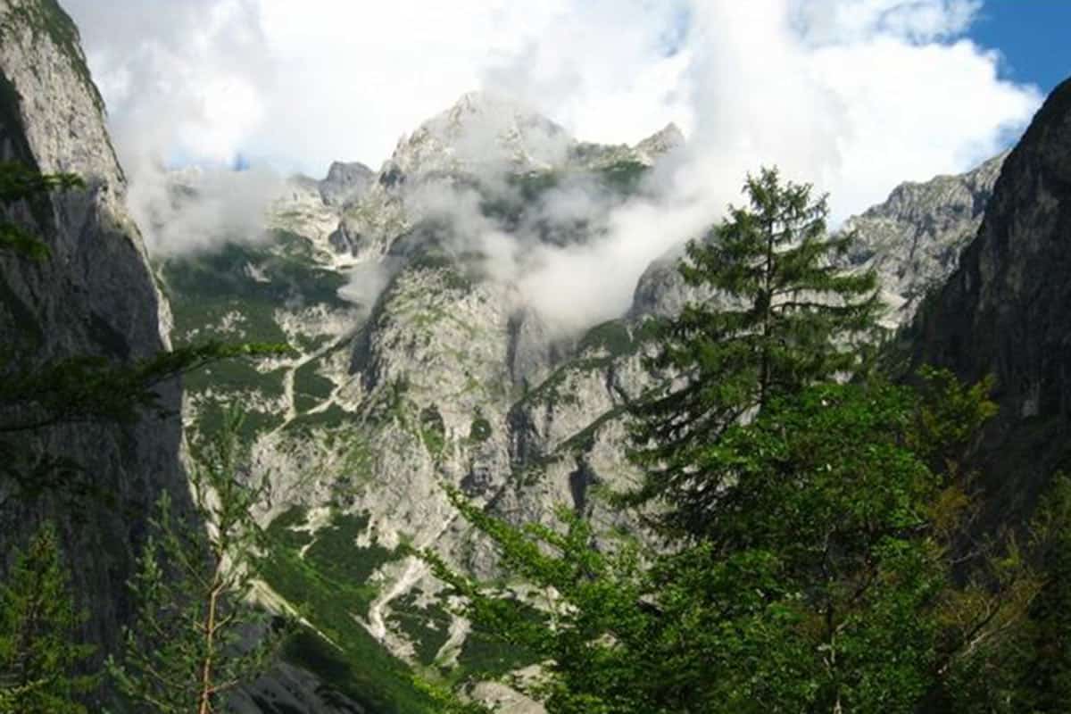Alpine Wildnis