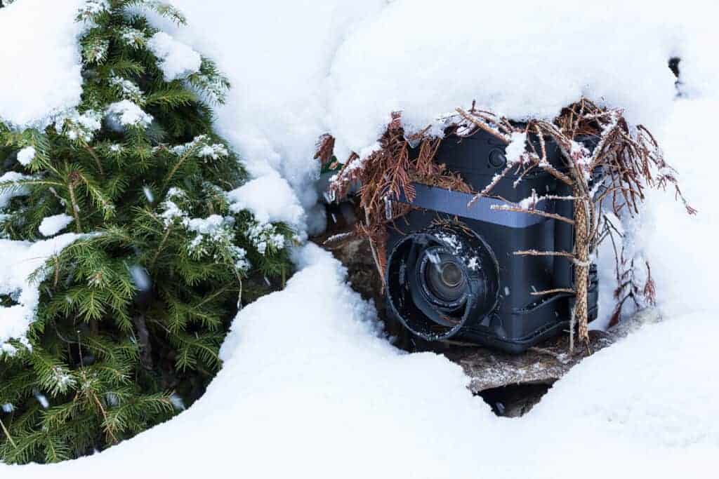 Einsatz einer von Schnee bedeckten Wildtierkamera