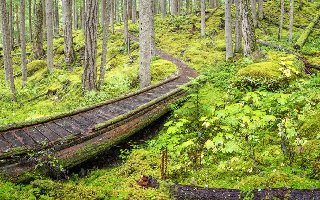 Nachhaltige Finanzen