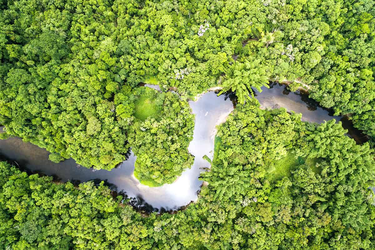 Bank Austria - Regenwald Fluss in Brasilien