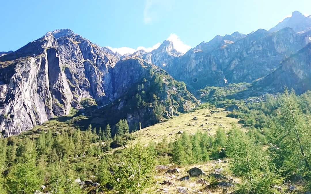 Wildnis in Österreich