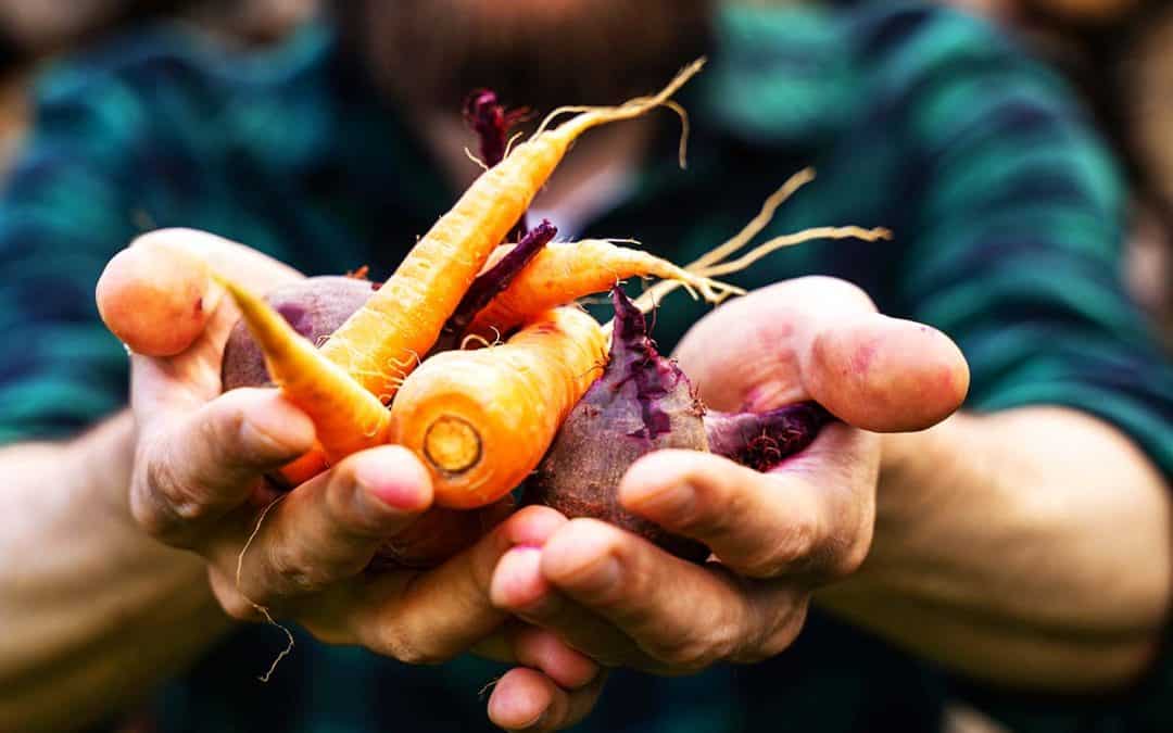 Tipps gegen Lebensmittelverschwendung