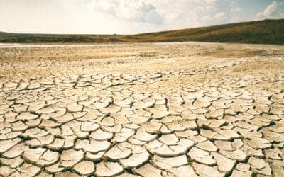 COP27: NGO-Allianz fordert mehr Geld für Klimafinanzierung