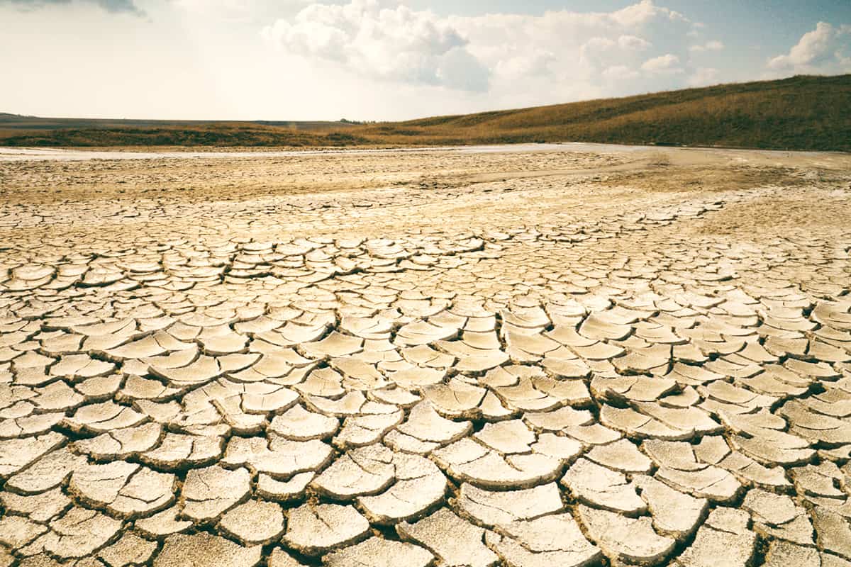 Coverbild Stromanbietercheck Banner (c) WWF