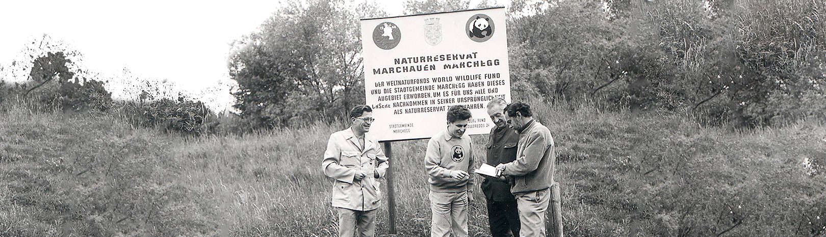 Die Geschichte des WWF Österreich - WWF Österreich