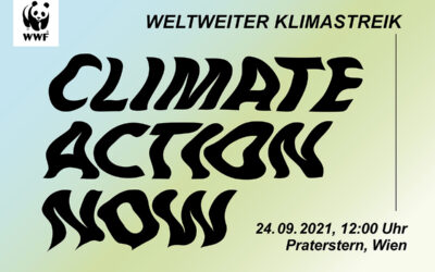 8. weltweiter Klimastreik am 24. September 2021