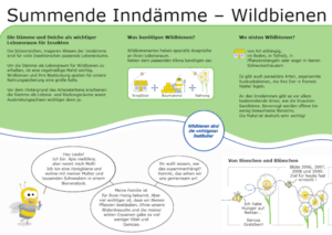 Informationstafel „Summende Inndämme“