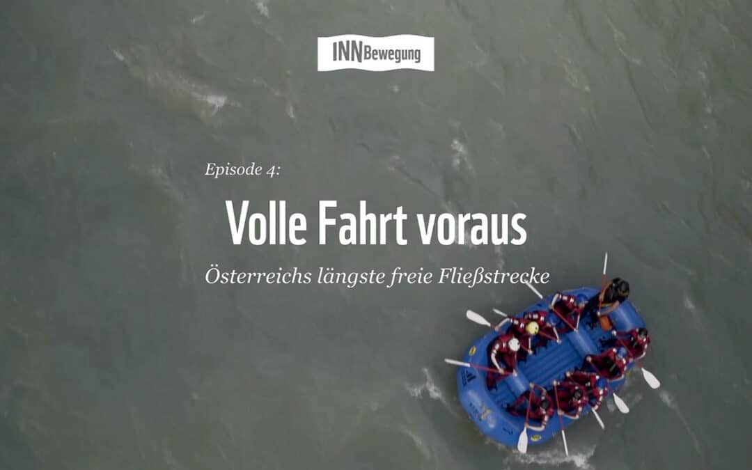 Wenn Wanderfische nicht mehr wandern – Episode 4