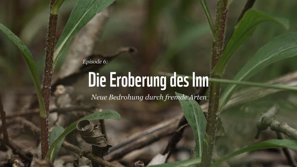 INNBewegung - Episode 6 (c) WWF