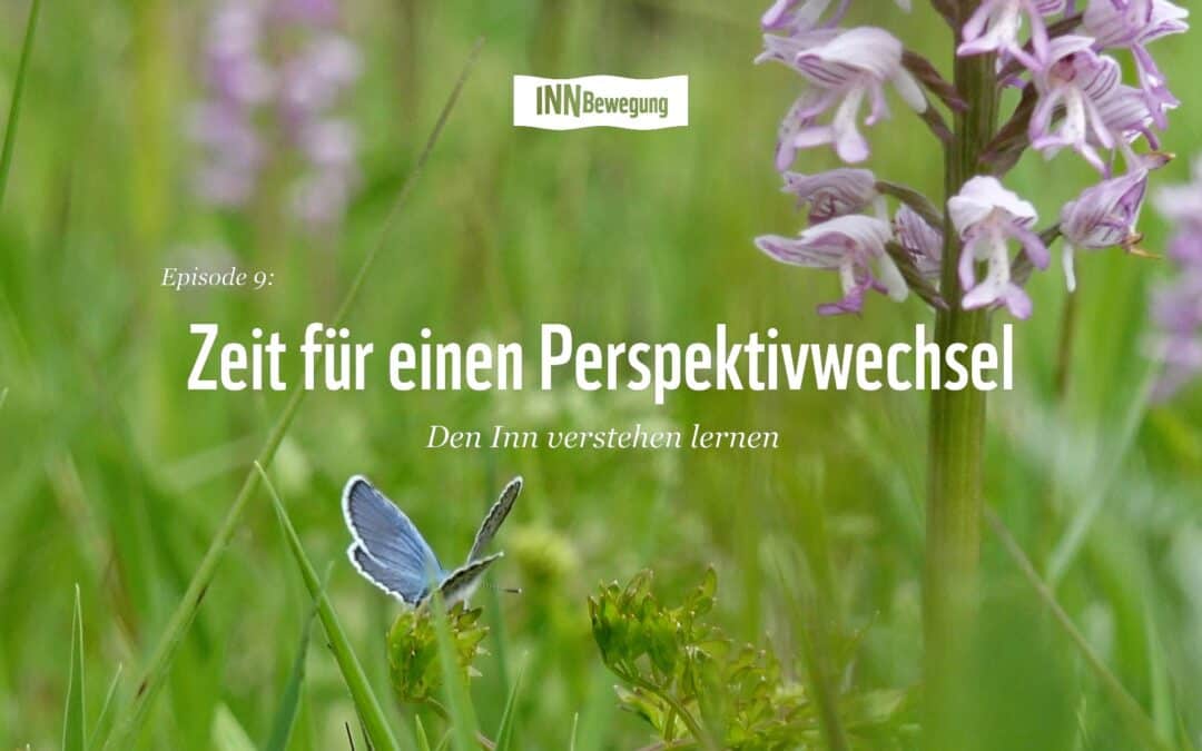 Der Inn: Zeit für einen Perspektivwechsel – Episode 9
