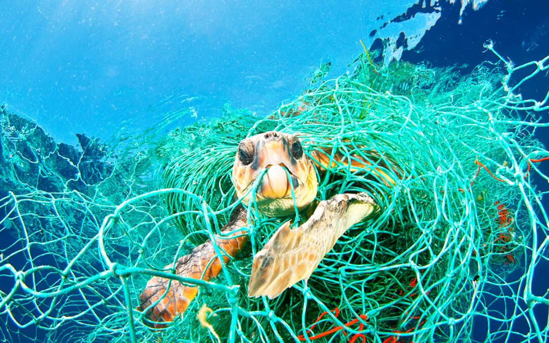 Geisternetze – die tödlichste Form von Plastikmüll in den Meeren