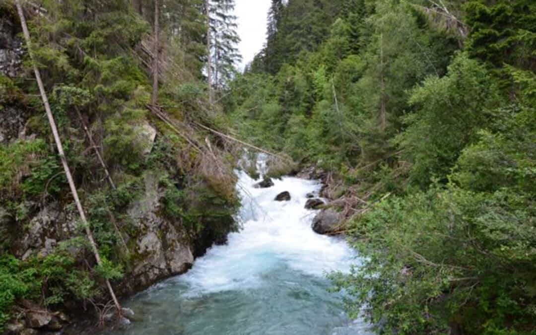 Schwere Verfahrensfehler bei Gemeindekraftwerk Defereggental – WWF legt Beschwerde ein