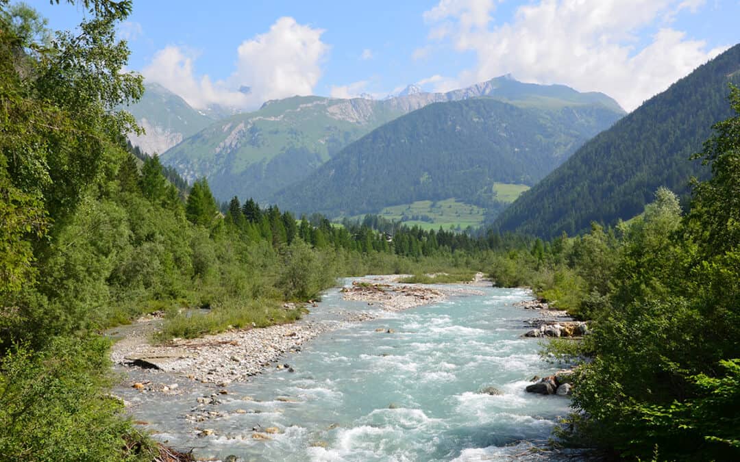 Drohende Verbauung österreichischer Alpenflüsse sorgt international für Aufruhr