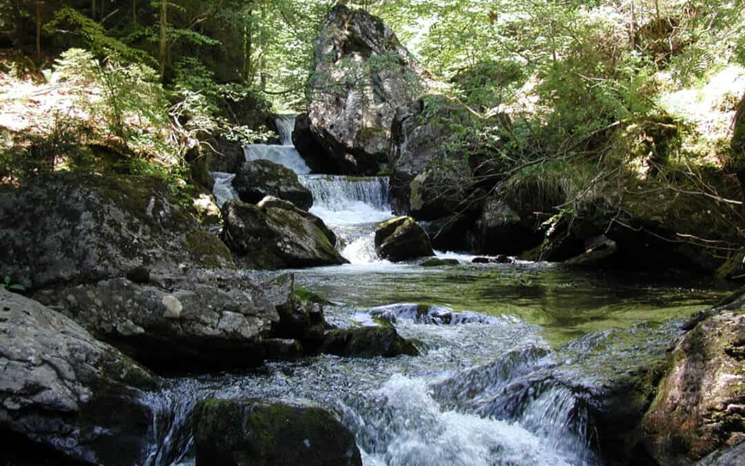 WWF-Film: Skandal an der Schwarzen Sulm