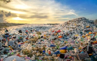 Neue WWF-Studie zeigt die unglaublichen Kosten der Plastik-Krise