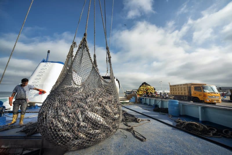 Kommerzielle Thunfisch-Fischerei © Antonio Busiello / WWF US
