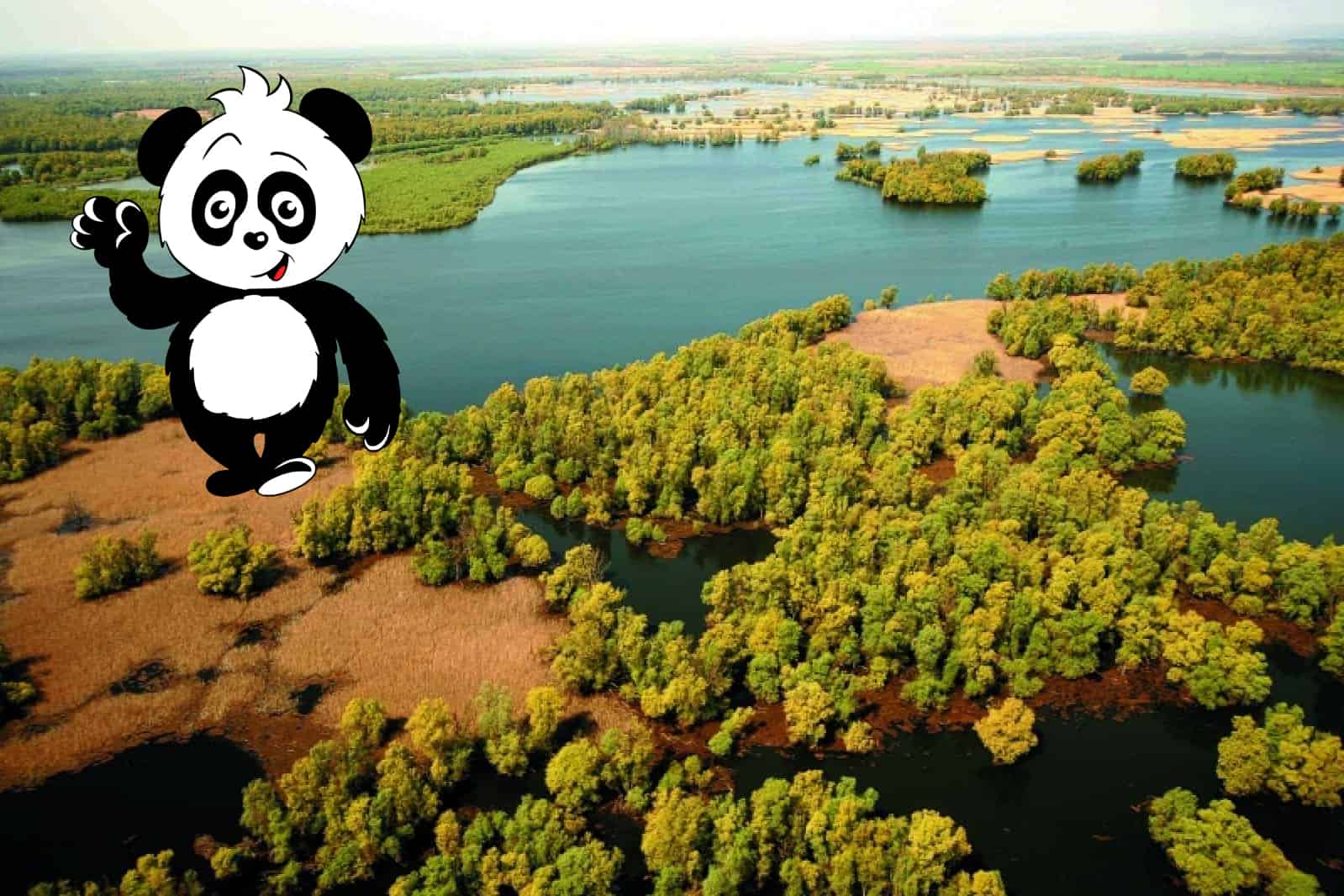 Pia Panda lädt ein: komm mit auf die spannende Reise zum Amazonas Europas!