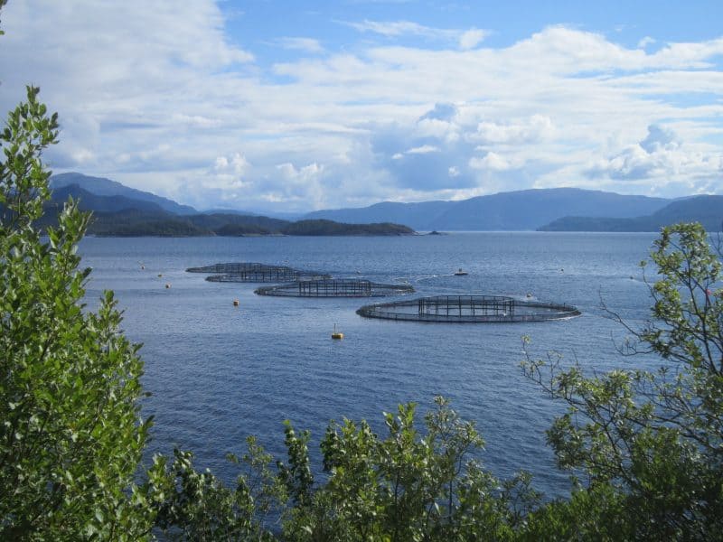Lachs-Aquakultur in Norwegen © Brataffe,CC BY-SA 4.0, via Wikimedia Commons