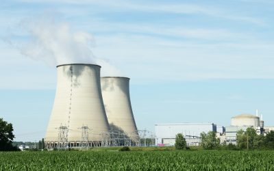 WWF: Atomenergie und Erdgas haben im Green Deal nichts verloren