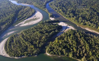 Mur-Drau-Donau: 20 Millionen Euro zur Renaturierung des „Amazonas Europas“