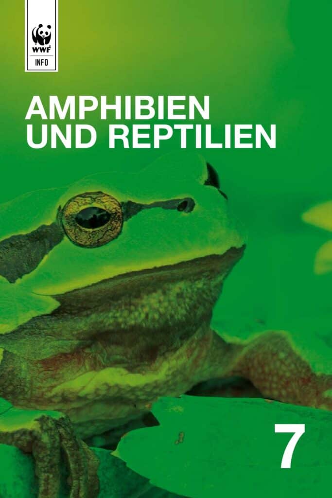 Auenreservat Information: Amphibien und Reptilien