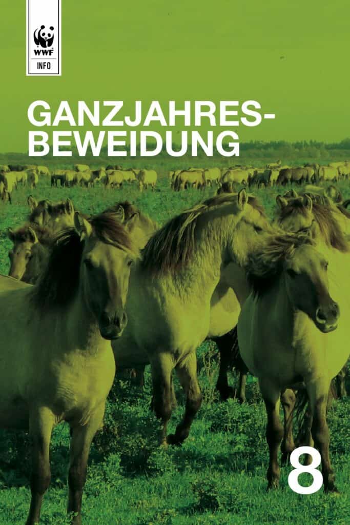 Auenreservat Information: Beweidung