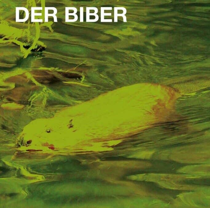 Auenreservat Information: Der Biber