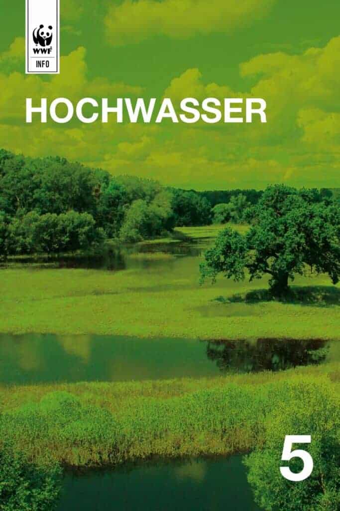 Auenreservat Information: Hochwasser