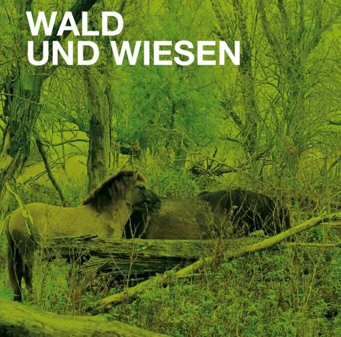 Auenreservat Information: Wald und Wiesen