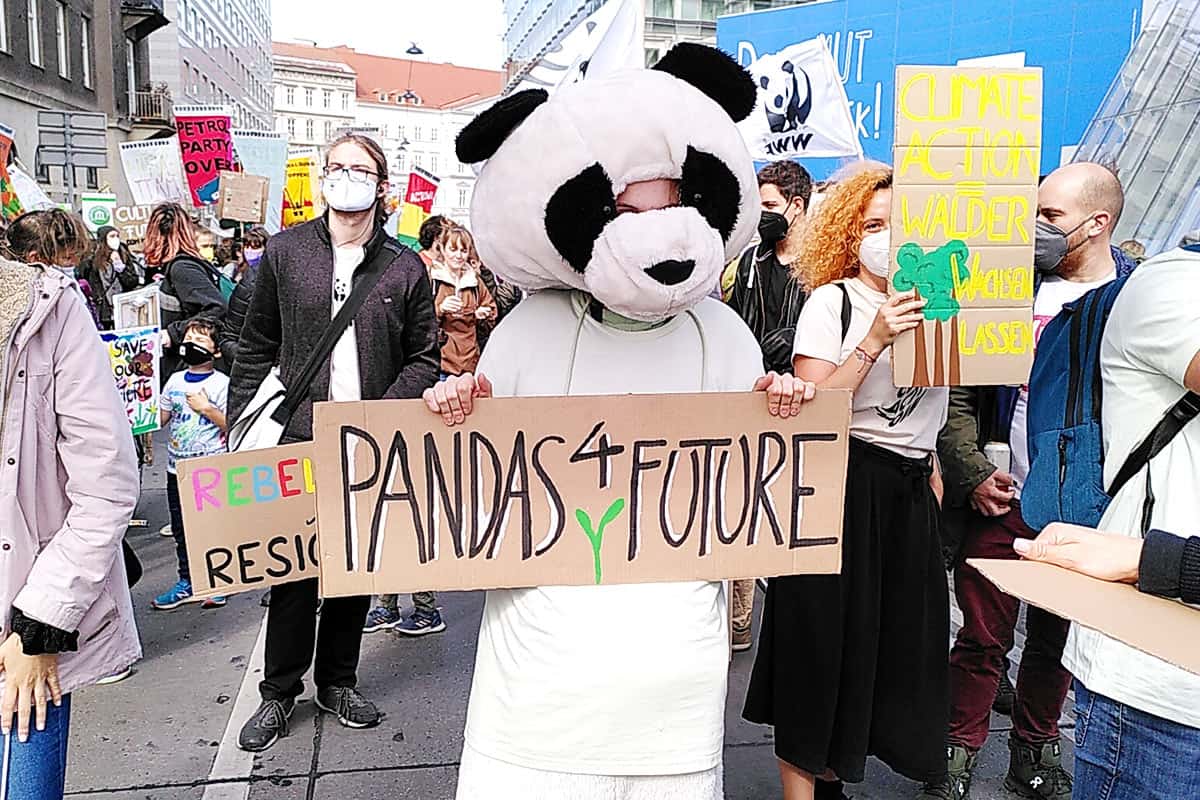 Der WWF am weltweiten Klimastreik