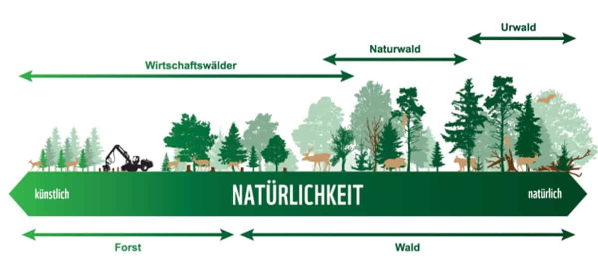 Natürlichkeit der Wälder