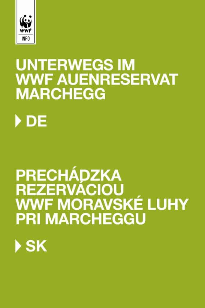 WWF-Auenreservat Marchegg: Unterwegs im WWF Auenreservat Marchegg