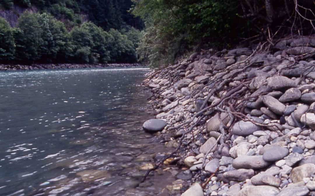 WWF fordert sofortigen Planungsstopp für Kraftwerk Telfs