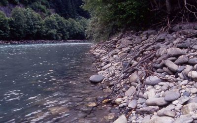 WWF fordert sofortigen Planungsstopp für Kraftwerk Telfs