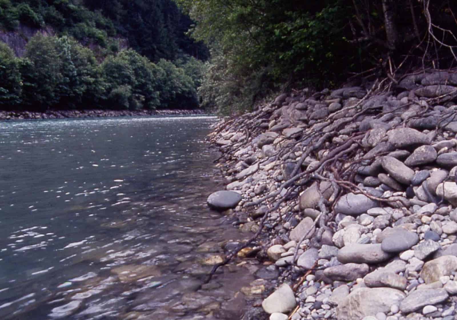 Milser Au