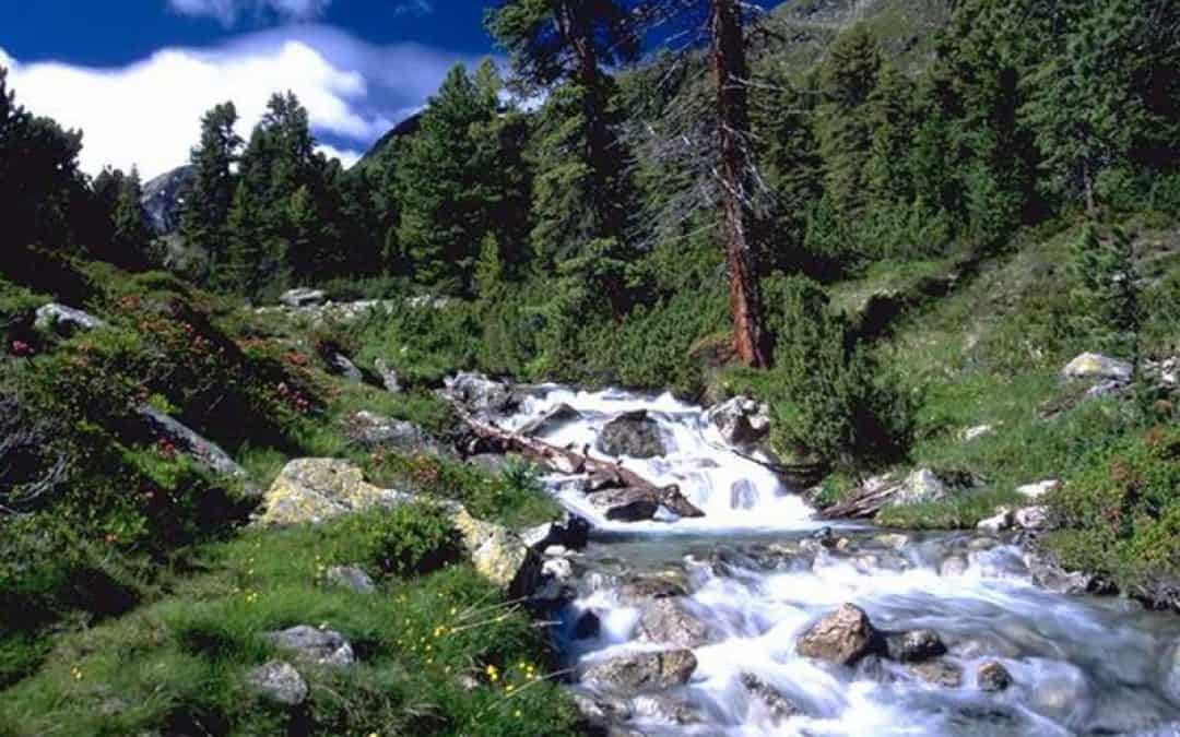 Non-Profit-Organisationen mahnen Spendenabsetzbarkeit ein